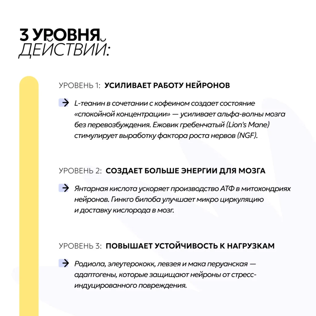Шоты MENTAL — «МЕНТАЛ», 10 шт, 50 мл