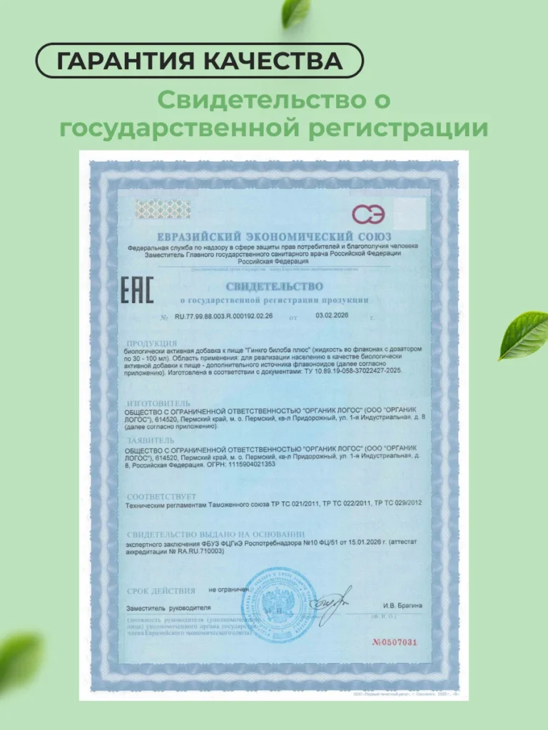 Гинкго билоба плюс