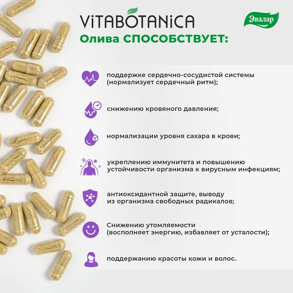 ВитаБотаника Олива, 60 капсул, Эвалар