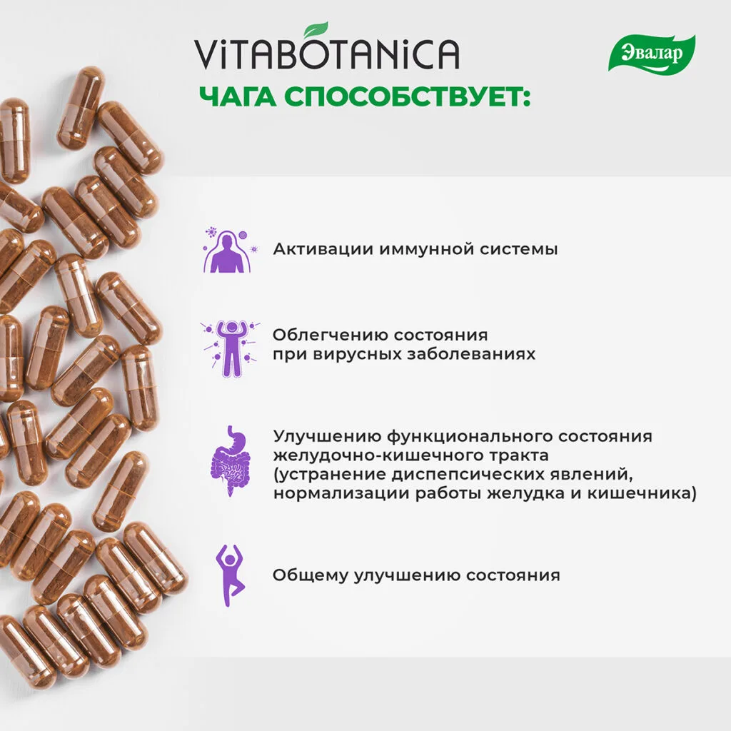 ВитаБотаника Чага, 90 капсул, Эвалар