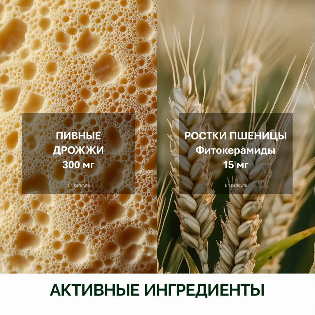 NFO® Амино Комплекс
